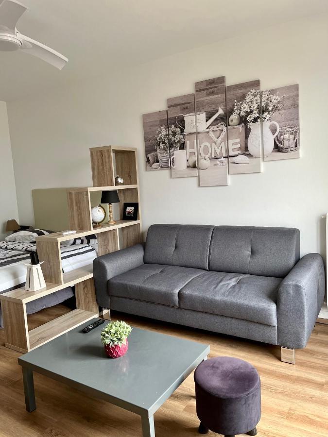 Appartement Rue Condorcet Parking Prive- Dabnb Λιμόζ Εξωτερικό φωτογραφία
